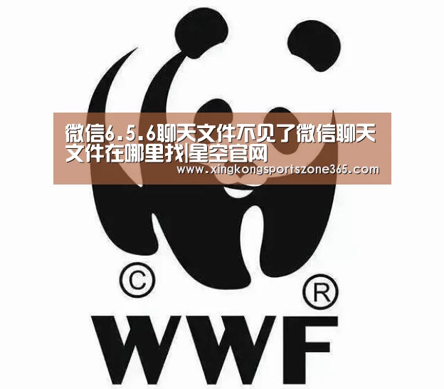 微信6.5.6聊天文件不见了微信聊天文件在哪里找|星空官网(图3) 星空电竞