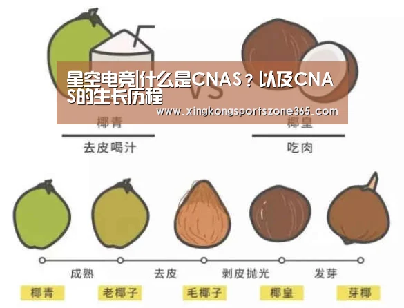 星空电竞|什么是CNAS?以及CNAS的生长历程(图2) 星空电竞