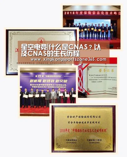 星空电竞|什么是CNAS?以及CNAS的生长历程(图1) 星空体育